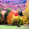 Fall in the Catskills