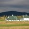 Farmhouses in the evening sun