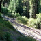 The Stump Dodger Trail - Sumpter RR