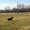 Mag's frisbee