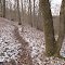 Winter hike at Persimmon Ridge Park, Jonesborough, TN