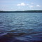 A cove at Lake Conroe