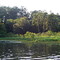 "Sand Branch", off Lake Conroe