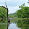 Stubblefield Lake 4