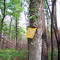 Sign-Eating Tree