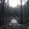 Bridge 8 on Multi-use Trail, SHNF