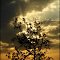 Silhouette  ....{by Bassam}