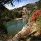 Colorful Douglas Maples line the banks of the Snake  (W￪)