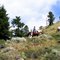 Uphill Ride at the Mill Iron Ranch