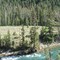 Jumping Tree, Hoback River