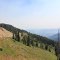 Wyoming - Taghee Forest