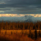 Kachemak