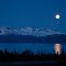  Moon Rise @ Homer AK USA