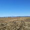 Front Range from near Kersey, Colorado