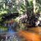 Bear Creek