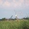 Fish Point Wildlife Refuge