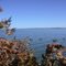 Near Blind Fishpoint