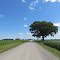 Bach Road