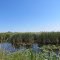 Section R08E10/15 strictly contoled for wildlife protection (Fish Point Wildlife Area)