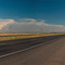 On the Road to Carlsbad