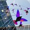 Glass Birds - Dublin Hospital - Dublin, Ohio