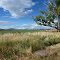Agriculture Field at American West Heritage Preserve.