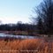 Late Winter at the Wetlands
