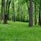 Point Park, Raccoon Lake Public Access Area