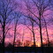 Sunrise Over Swan Pond Brook