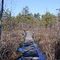 Saco Heath Boardwalk
