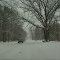 The dark days of winter, care to drive?