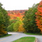 Wonderful Fall Color at Boone Fork