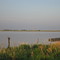 Ayr Lagoon, rainy year