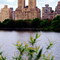 New York - Central Park