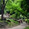 Great walks thru Central Park