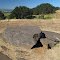 Oregon's most-famous erratic