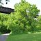 Paint Creek Bike Trail