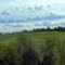 Jefferson City farmland 2