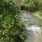 Elk Lick Run, in South Riding VA