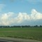 Field in northern Ohio