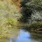 Plum River