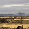 honey lake valley ranch