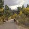 bizz johnson trail bridge