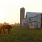 Amish barn