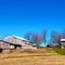 Barn and Shed
