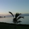 Molokai shore with view of Lanai