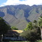 KAMAKOU  MOLOKAI