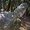 Phallic Rock -- Molokai, Hawaii