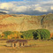 Idaho Homestead ...10.03.08*
