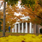 Centre College campus, Danville, KY